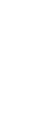 cardL1